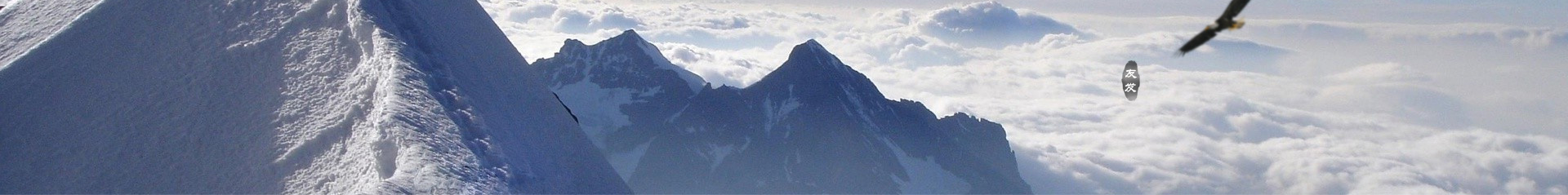 友發集團——上交所主板上市企業、連續17年位列中國企業500強