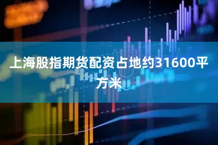 上海股指期货配资占地约31600平方米