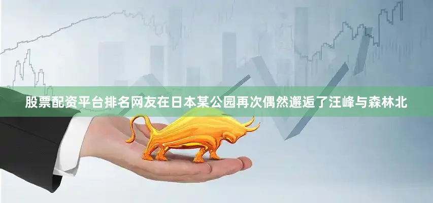 股票配资平台排名网友在日本某公园再次偶然邂逅了汪峰与森林北