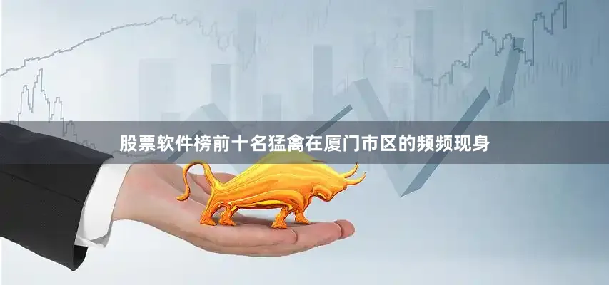 股票软件榜前十名猛禽在厦门市区的频频现身