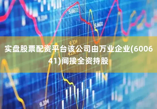 实盘股票配资平台该公司由万业企业(600641)间接全资持股